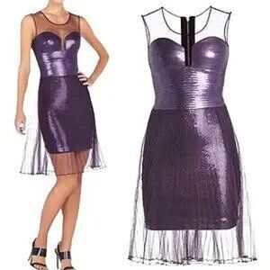 💥 INSANELY BEAUTIFUL💥BCBGMaxAzria KORINA SEQUINE & MESH DRESS in PURPLE